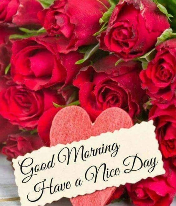 10 Floral Good Morning Quotes & Messages Of The Day - picture 11