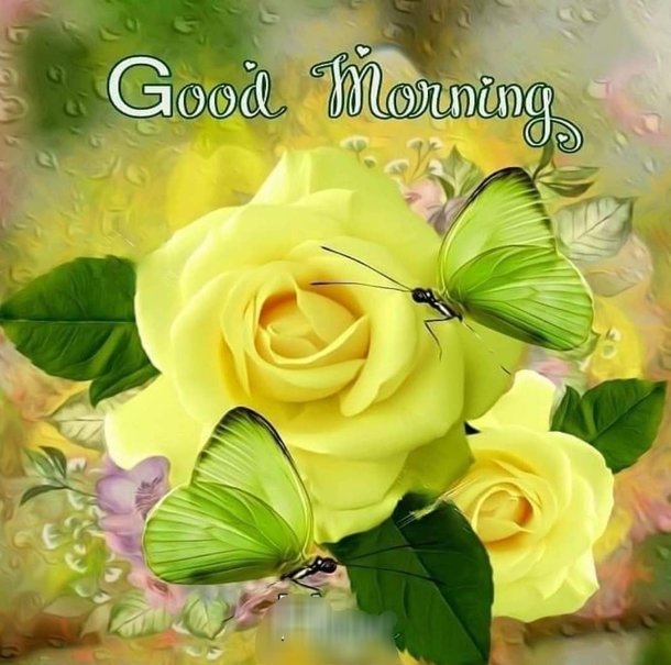 10 Floral Good Morning Quotes & Messages Of The Day - picture 12