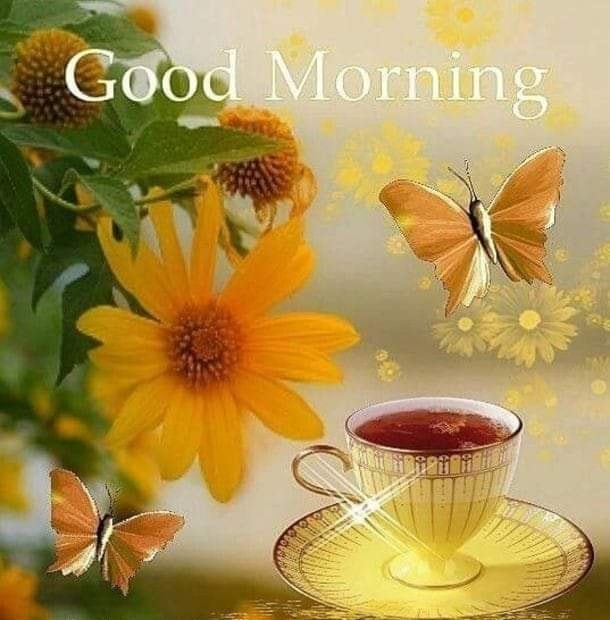10 Floral Good Morning Quotes & Messages Of The Day - picture 4