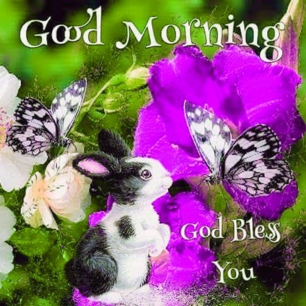 10 Floral Good Morning Quotes & Messages Of The Day - picture 5
