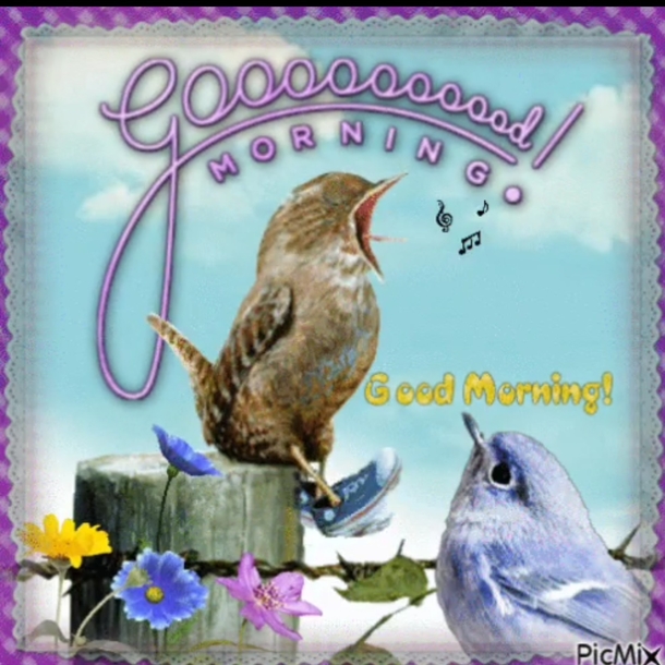 10 Floral Good Morning Quotes & Messages Of The Day - picture 6