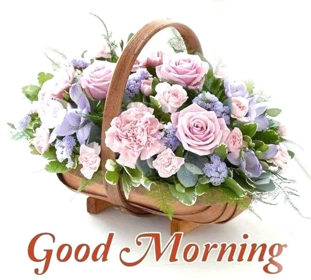 10 Floral Good Morning Quotes & Messages Of The Day - picture 8