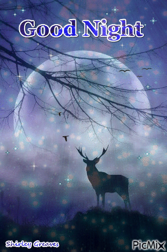 10 Free Animated Good Night Gifs For The Perfect Night - picture 7