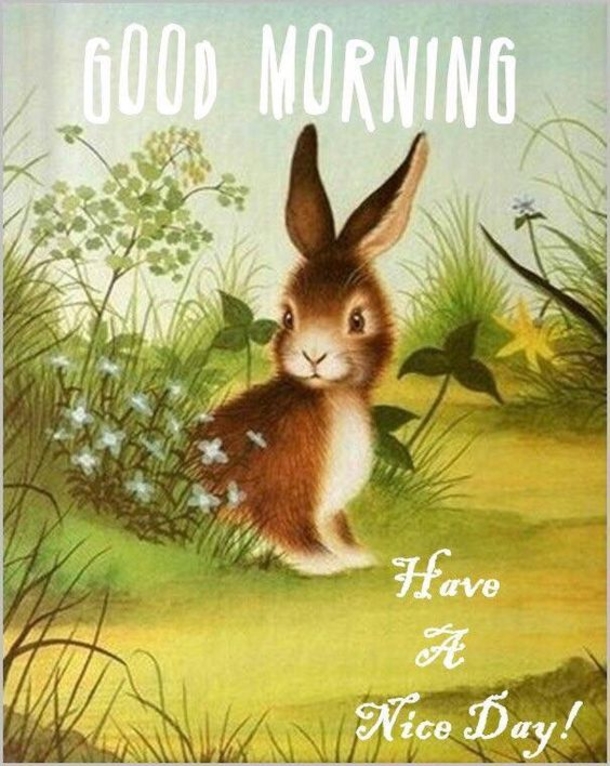 10 Fresh Good Morning Image Quotes - picture 10
