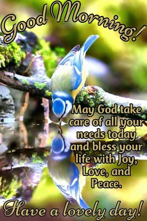 10 Fresh Good Morning Image Quotes - picture 5