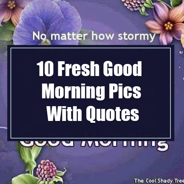 10 Fresh Good Morning Pics With Quotes