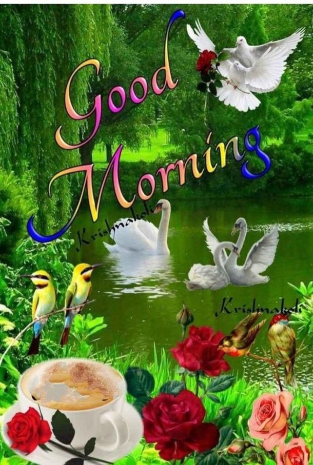 10 Fresh Good Morning Pics With Quotes - picture 11