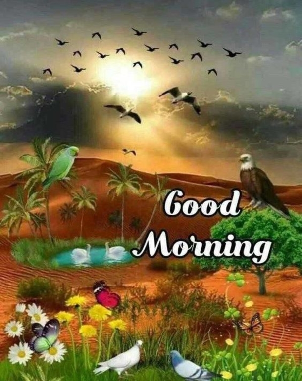 10 Fresh Good Morning Pics With Quotes - picture 7