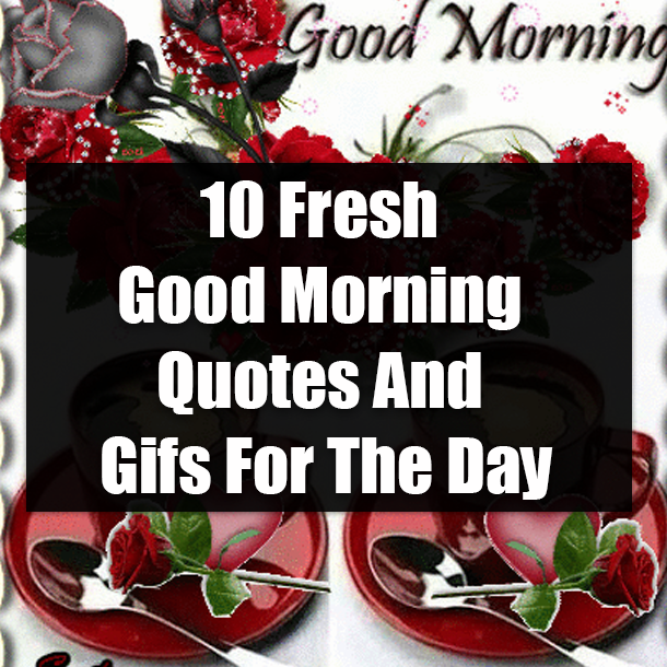 10 Fresh Good Morning Quotes And Gifs For The Day