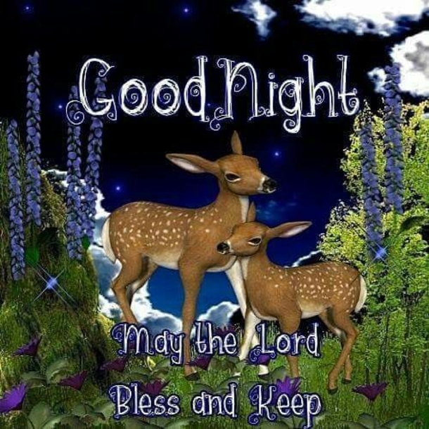 10 Fresh Good Night Quotes And Sayings - picture 11