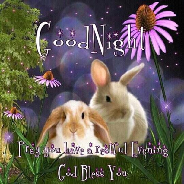 10 Fresh Good Night Quotes And Sayings - picture 6