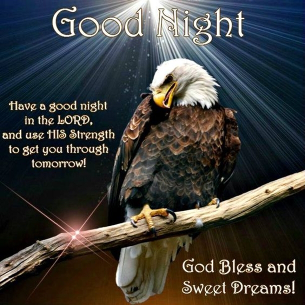 10 Fresh Good Night Quotes And Sayings - picture 7