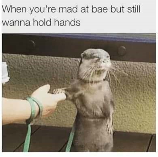10 Fresh Love & Relationship Quotes And Memes - picture 11