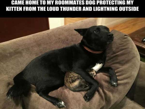 10 Friday Funny Quotes And Pictures - picture 5