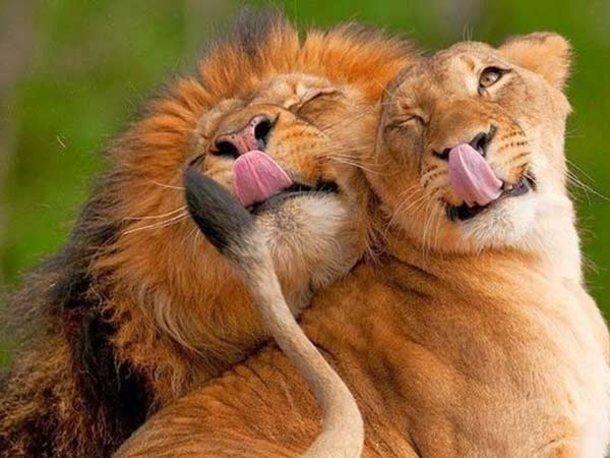 10 Friday Funny Quotes And Pictures - picture 7