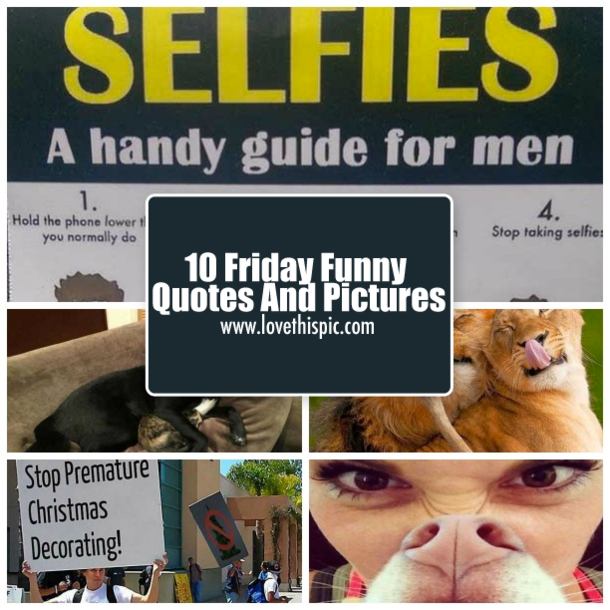 10 Friday Funny Quotes And Pictures - picture 8