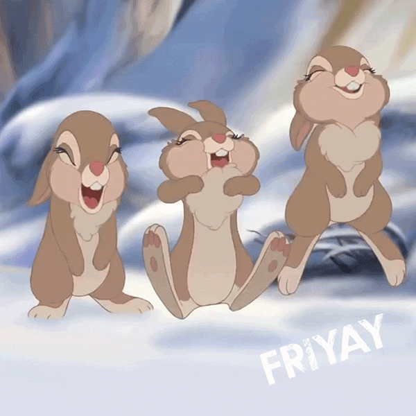 10 Friday Gifs To Celebrate The End Of The Week - picture 10