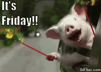 10 Friday Gifs To Help You Celebrate The End Of The Week - picture 4