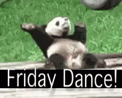 10 Friday Gifs To Help You Celebrate The End Of The Week - picture 5