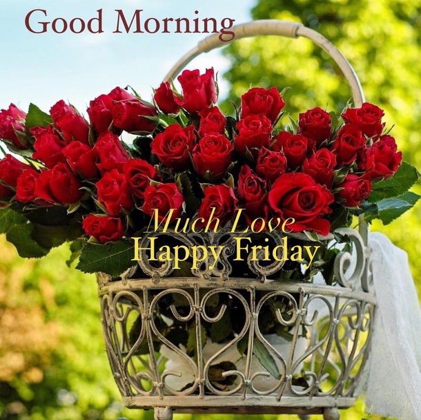 10 Friday Good Morning Images And Pictures Quotes For 2023 - picture 10