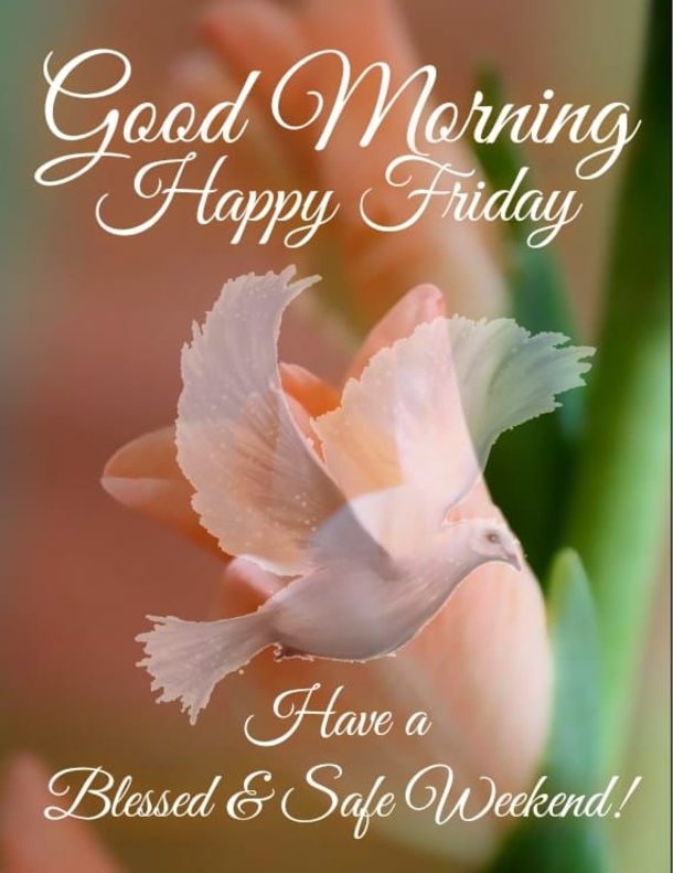 10+ Friday Good Morning Quotes - picture 10