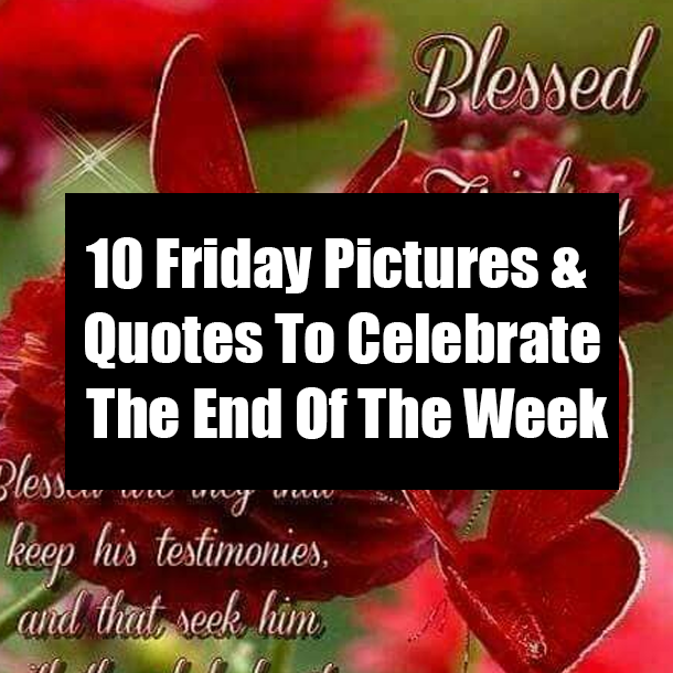 10 Friday Pictures & Quotes To Celebrate The End Of The Week