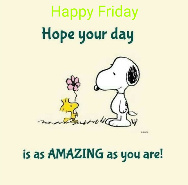 10 Friday Pictures & Quotes To Celebrate The End Of The Week - picture 11