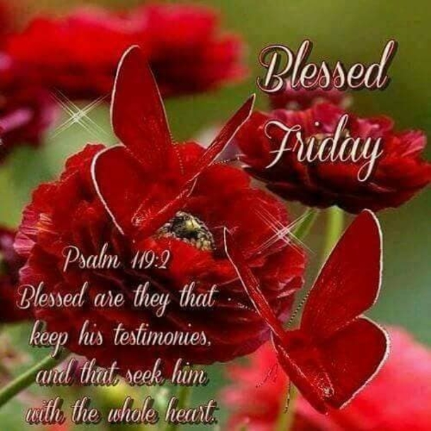 10 Friday Pictures & Quotes To Celebrate The End Of The Week - picture 4