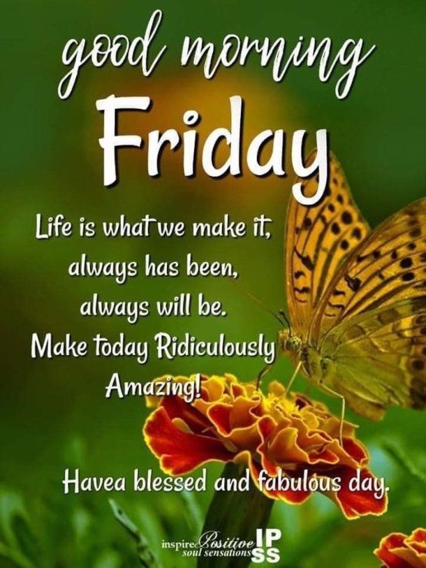 10 Friday Quotes And Sayings For A Beautiful Day - picture 5