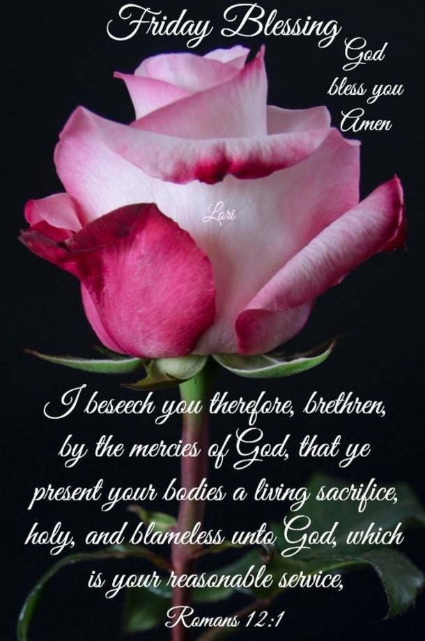 10 Friday Quotes And Sayings For A Beautiful Day - picture 9