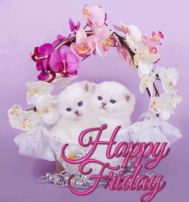 10 Friday Quotes That Will Have You Inspired & Blessed - picture 2