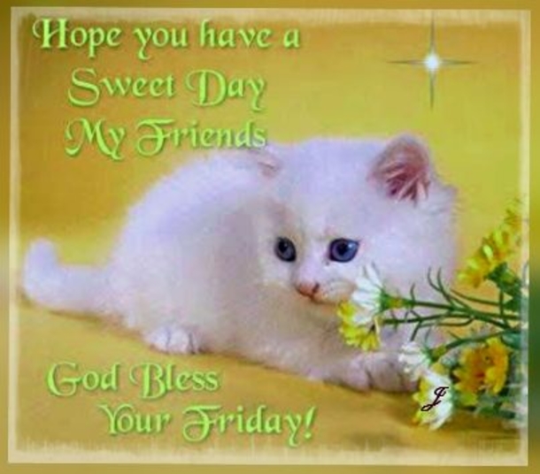 10 Friday Quotes To Cap The Week - picture 5