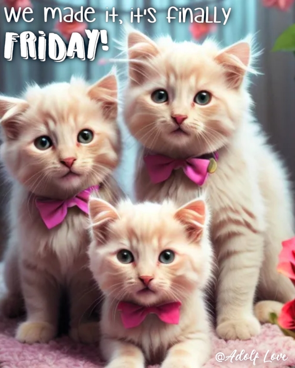 10 Friday Quotes To Spread A Little Happiness And Love For The Weekend - picture 3