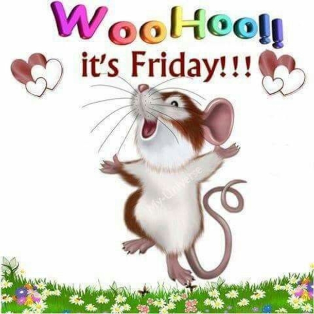 10 Friday Quotes To That'll Make You Happy That It's Finally Friday - picture 4