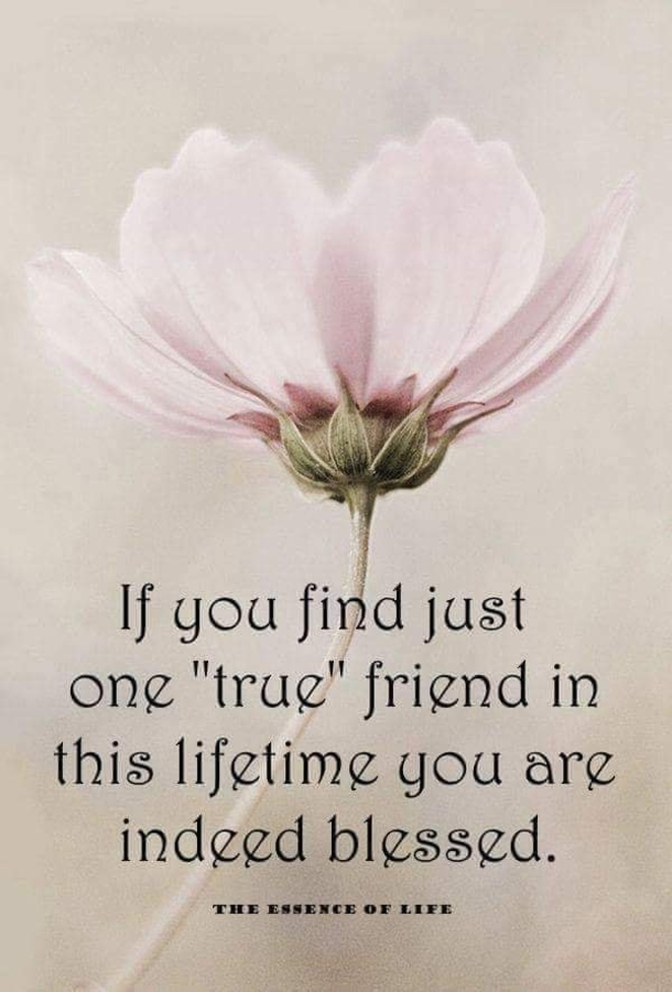 10 Friendship Quotes To Express How Much You Love Your Best Friend - picture 7