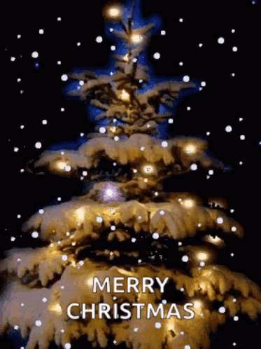 10 Fun Christmas Quotes And Gif Images - picture 11