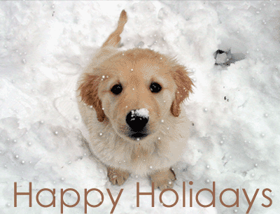 10 Fun Christmas Quotes And Gif Images - picture 3