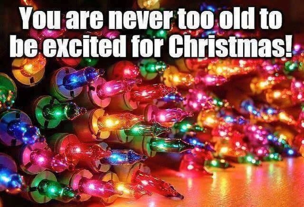 10 Fun Christmas Quotes And Pictures To Get You Ready For The Happy Holiday - picture 6