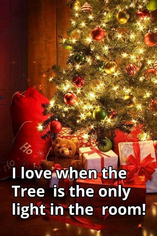 10 Fun Christmas Quotes And Pictures To Get You Ready For The Happy Holiday - picture 7