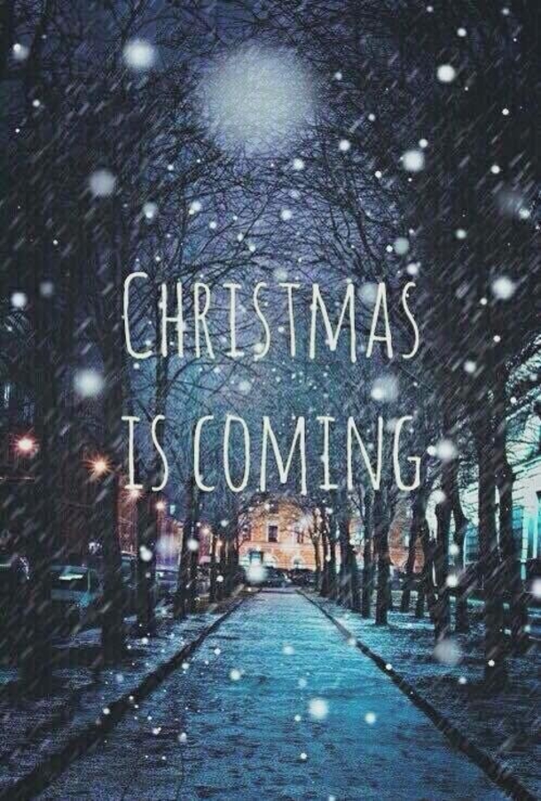 10 Fun Christmas Quotes And Pictures To Get You Ready For The Happy Holiday - picture 8