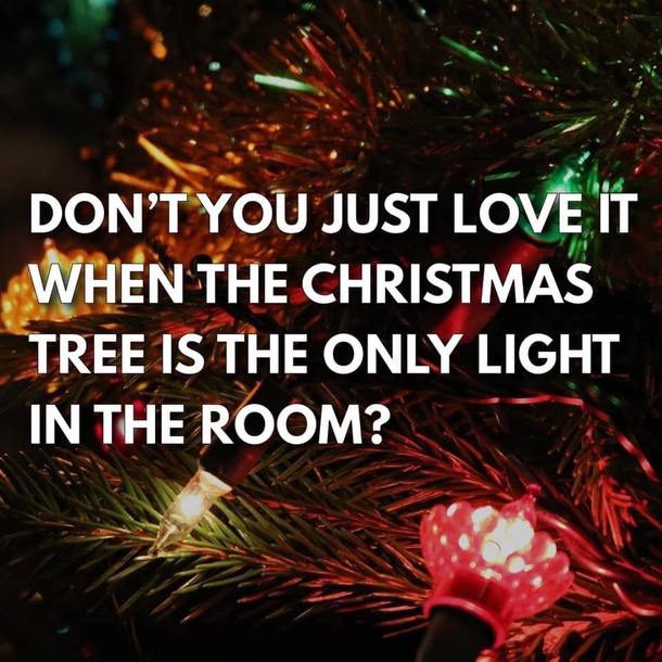10 Fun Christmas Quotes To Get Ready For The Holiday - picture 4