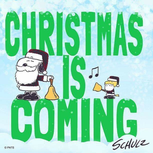 10 Fun Christmas Quotes To Get Ready For The Holiday - picture 6