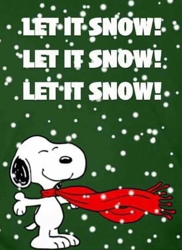 10 Fun Christmas Quotes To Get Ready For The Holiday - picture 8