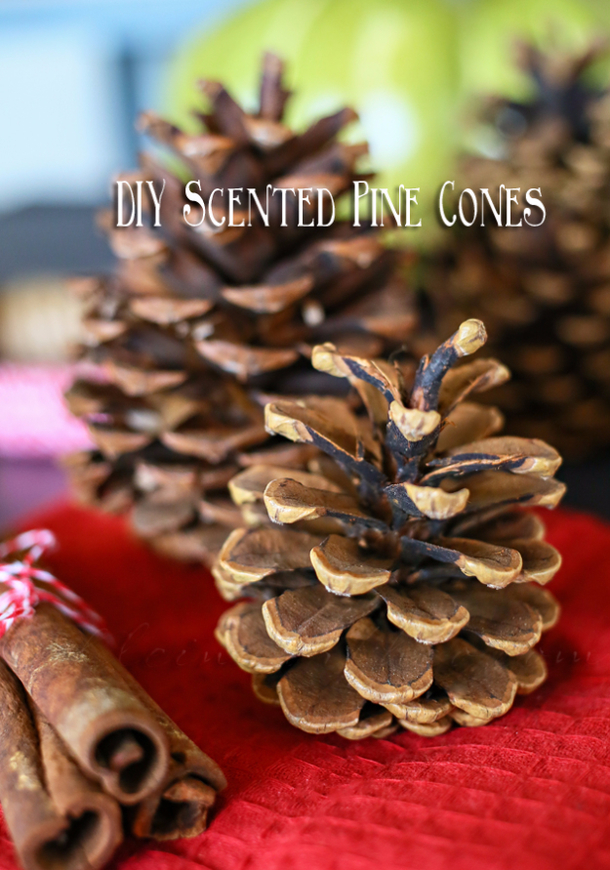 10 Fun DIY Ideas For The Wintertime - picture 10