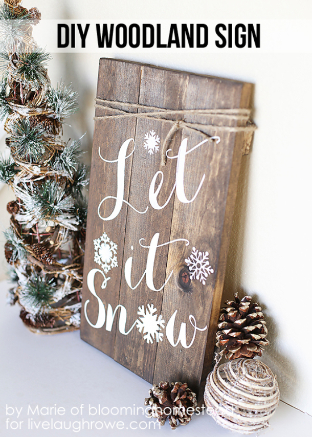 10 Fun DIY Ideas For The Wintertime - picture 13