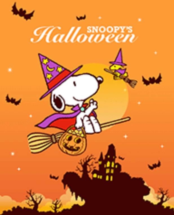10 Fun Happy Halloween Quotes And Sayings For 2023 - picture 11
