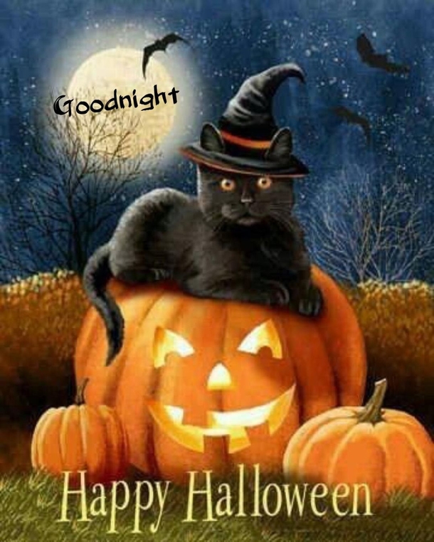 10 Fun Happy Halloween Quotes And Sayings For 2023 - picture 4