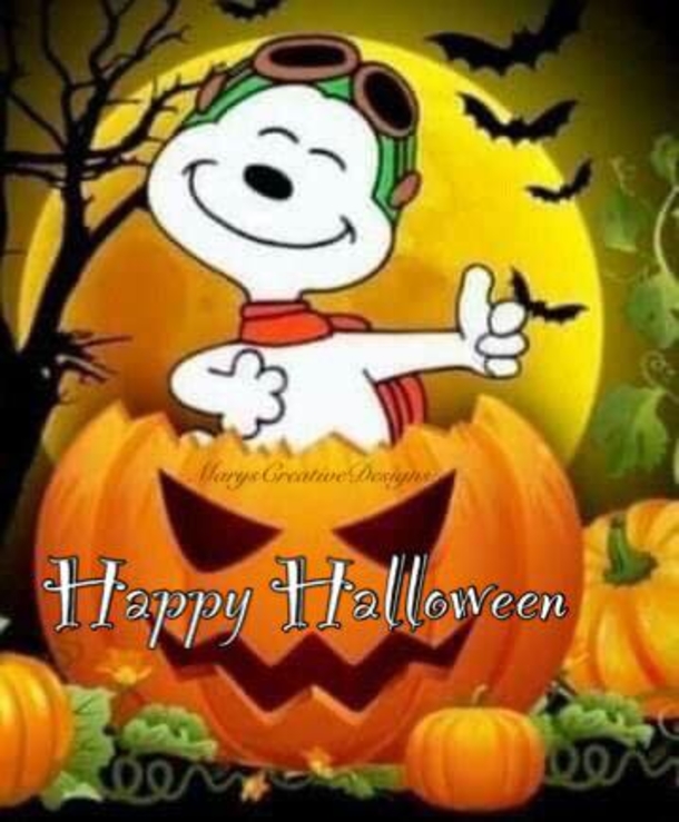 10 Fun Happy Halloween Quotes And Sayings For 2023 - picture 5