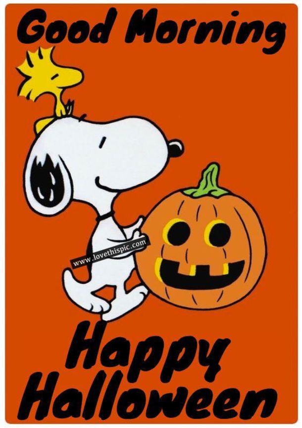 10 Fun Happy Halloween Quotes And Sayings For 2023 - picture 7