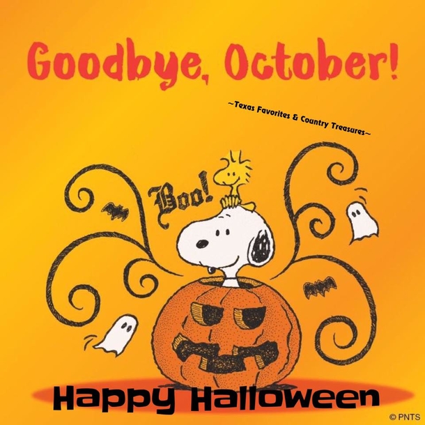 10 Fun Happy Halloween Quotes And Sayings For 2023 - picture 8